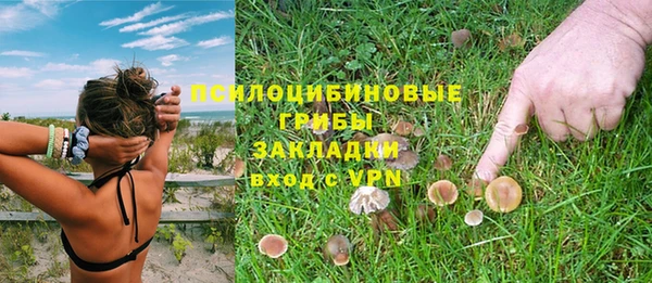 каннабис Абаза