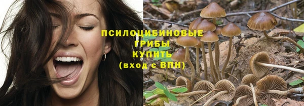spice Абинск